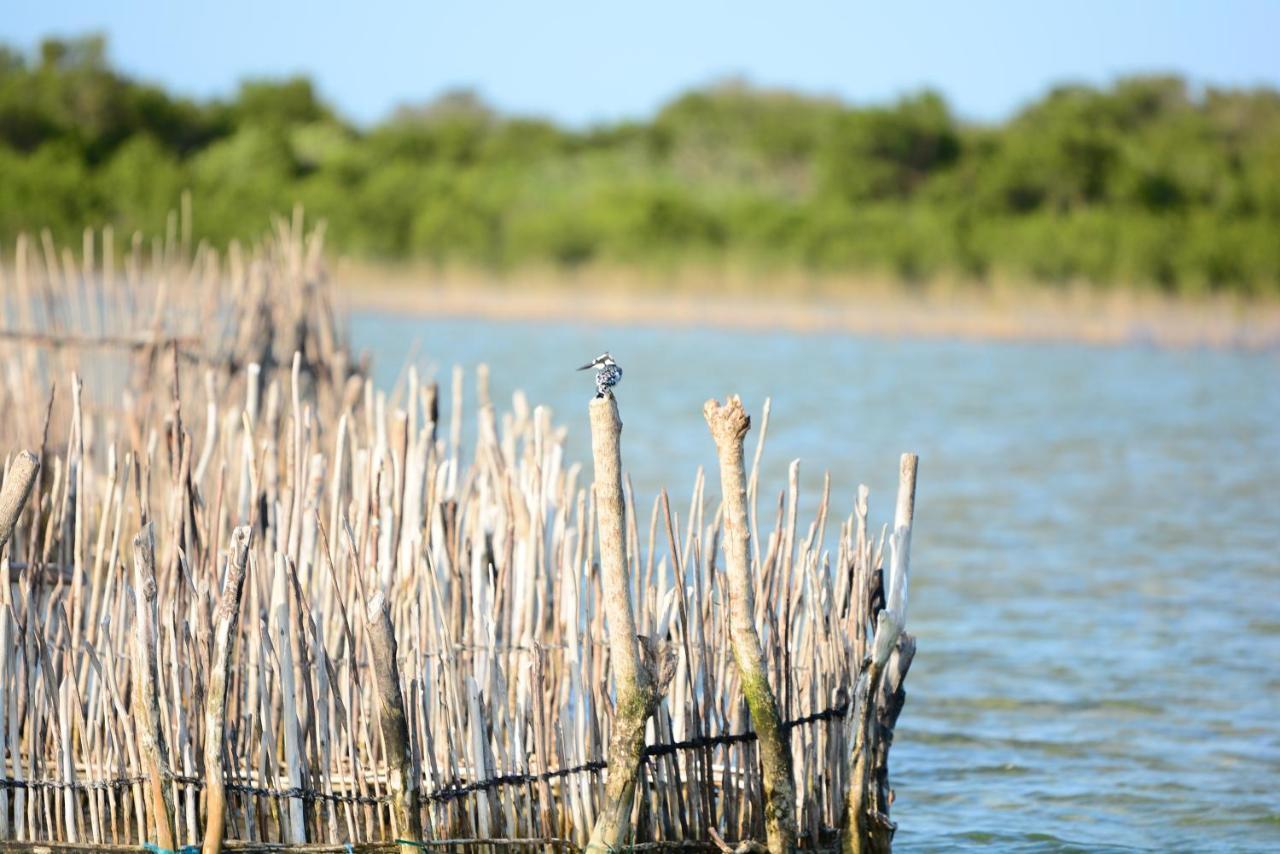 Kosi Bay Private Lodge Manguzi Экстерьер фото
